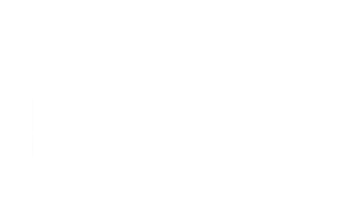 zv